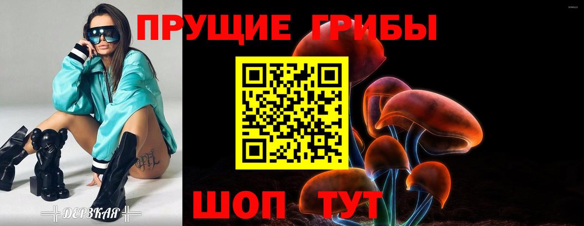 Псилоцибиновые грибы мицелий Свободный