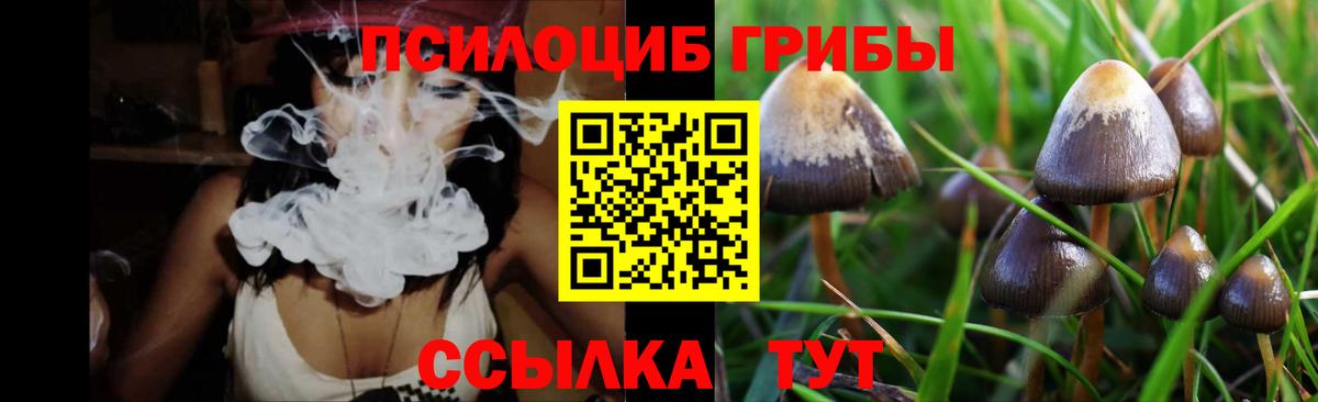Псилоцибиновые грибы GOLDEN TEACHER  Вход с VPN  Свободный 